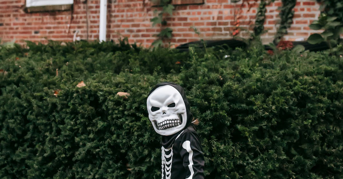 Are fitted wardrobes better than free standing?