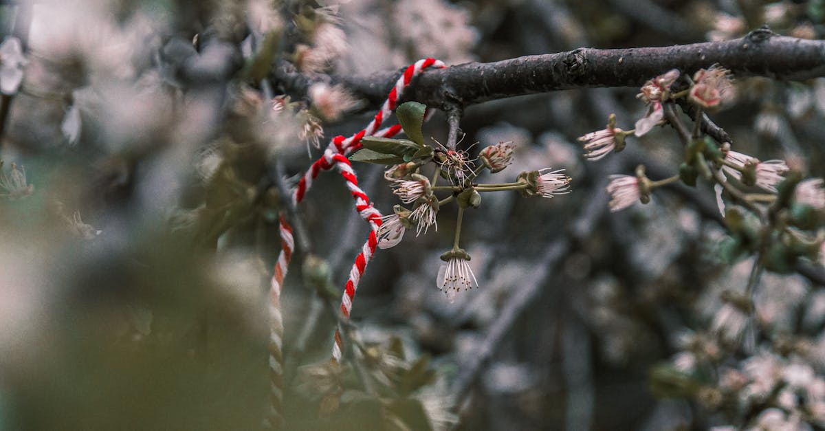 Are walk in wardrobes worth it?
