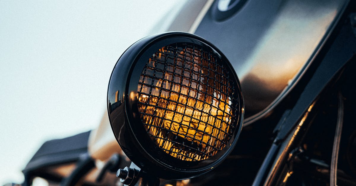 What wood to use for built-in wardrobes?